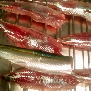 真イワシ カタクチイワシの刺身 レシピ 作り方 By ただっち クックパッド 簡単おいしいみんなのレシピが366万品