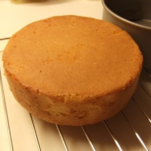 天ぷら粉でスポンジケーキ レシピ 作り方 By けあつ クックパッド 簡単おいしいみんなのレシピが355万品