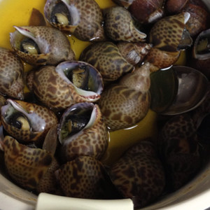 海つぼのゆで方のつくれぽ クックパッド 簡単おいしいみんなのレシピが356万品