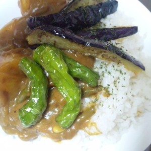 オクラかぼちゃ茄子トマトの野菜カレー レシピ 作り方 By ぺぺろんちぃな クックパッド 簡単おいしいみんなのレシピが357万品