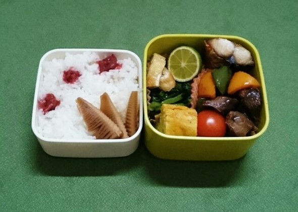 普段着のお弁当 № 20