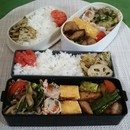 6901177fe5564358f48a15943d65b7a1