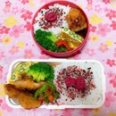 2ed395951b4625bd217df753da17c0cc