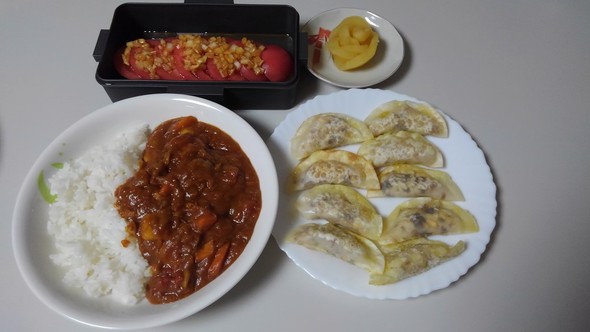 2019/8/11トマトポークカレー