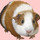 クッタロさん