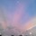 青空ひまわり