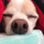 Chigoomin★