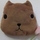 ☆くまちゃん☆