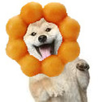 簡単 トイプードルそっくり唐揚げ レシピ 作り方 By ひなみ ダイエット クックパッド 簡単おいしいみんなのレシピが360万品