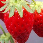 りこぴんmamaのアイコン