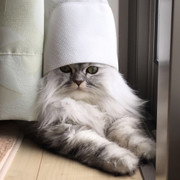 マカロン♡♡♡