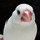 ほびっとさん