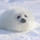 今日は何たべよ♪