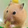 ゆずこ・ω・`