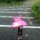 はなぐろわんちゃん