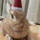 こころうさぎ☆彡