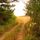 indiansun