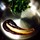 mamocook