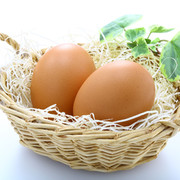 フレッシュ卵卵