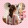 くまくま☆くまたん