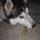 youri