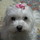☆TOMOYO☆