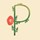Peӑnuts花林糖