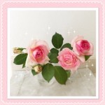 無花果の赤ワインソース レシピ 作り方 By Madameーtco クックパッド 簡単おいしいみんなのレシピが357万品