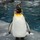 Pengu1n