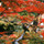 mafuryu