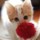 猫町ネコ