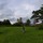 SIMA_MA