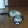 むうくん