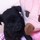 真っ黒かんかん