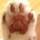 おぐにゃんこ