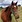 horseland