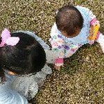 甘くないトマトに はちみつトマト レシピ 作り方 By がんばるんばるーん クックパッド 簡単おいしいみんなのレシピが355万品