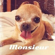 Monsieur☆