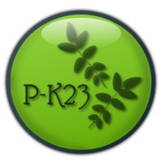P-K23