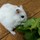 ちうママ