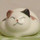 大吉ねこ