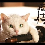 簡単 キムチドリア レシピ 作り方 By ネコざむらい クックパッド 簡単おいしいみんなのレシピが361万品