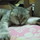 ユノめぐ