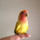 るっこらるっこ
