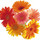 sunny3_21