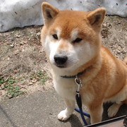 みんみのキッチン