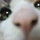 ププぞう