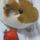よこチャ
