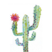 ＊cactus…＊