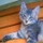 みけねこやよい